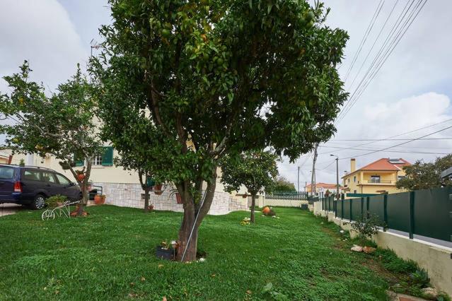 Sun House - Near Sintra - Kitchen - Pool Apartment Luaran gambar